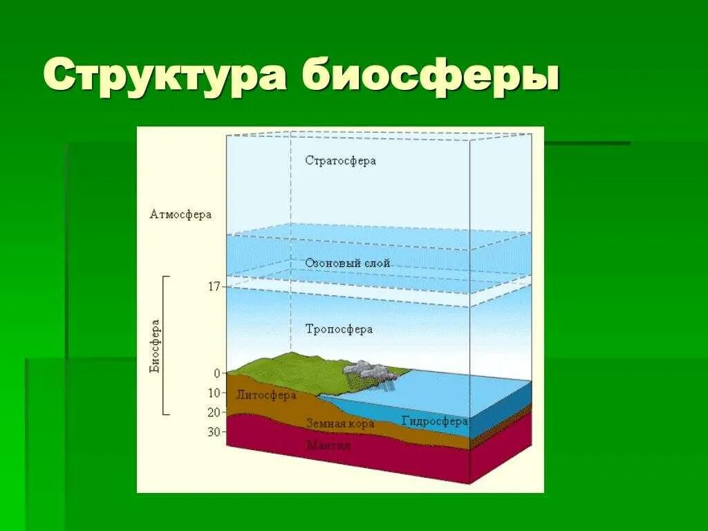 Биосфера оболочка земли где существует жизнь. Биосфера оболочка земли. Границы биосферы. 6 Класс география. Структура и границы биосферы. Структура вещество границы биосферы. 5. Биосфера. Структура и границы биосферы..