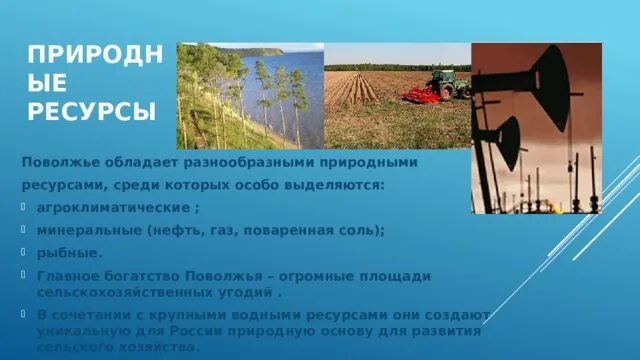 Природные ресурсы Поволжья. Земельные ресурсы Поволжья. Агроклиматические и земельные ресурсы Поволжья. Агроклиматические ресурсы Поволжья.