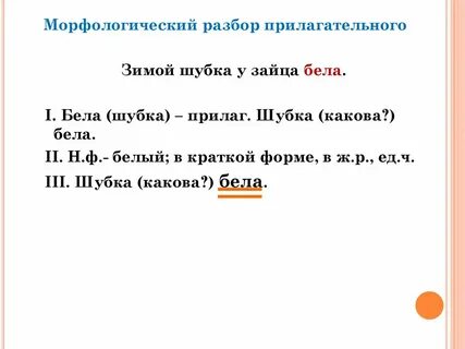 Морфологический разбор существительного белку