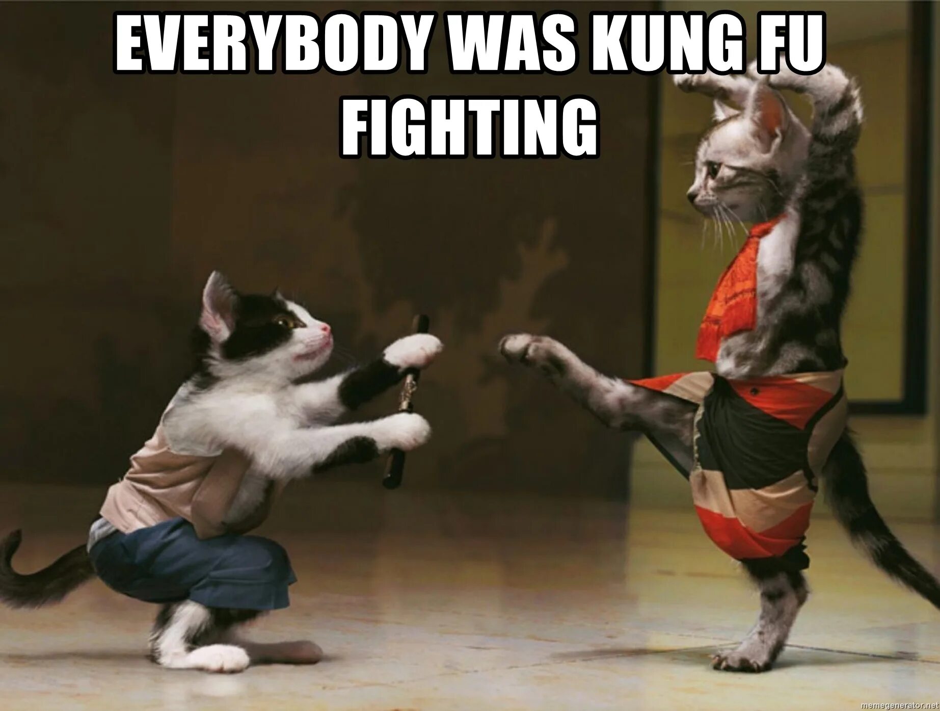 Everybody was to the world. Everybody wants Kung-Fu Fighting. Everybody was Kung Fu Fighting. Кунг фу корги. Everybody is Kung Fu Fighting Kung Fu Panda.