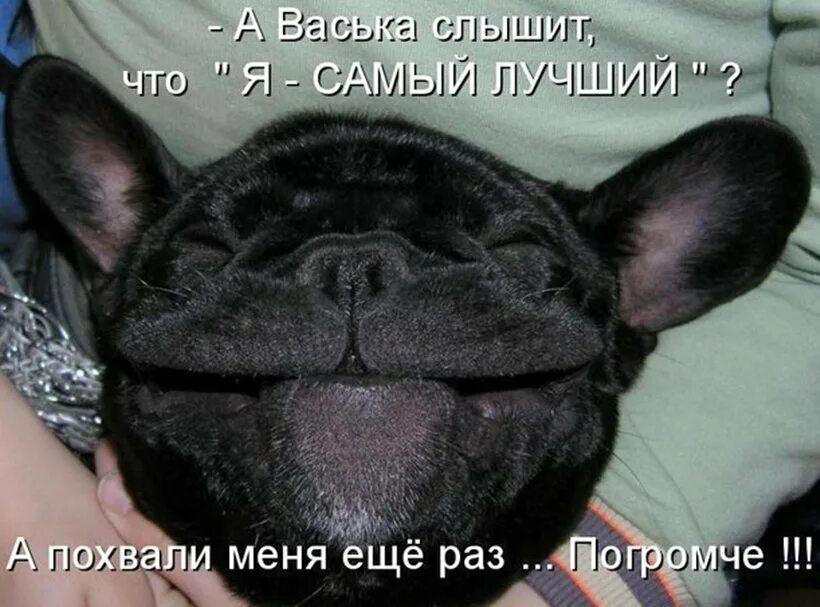 Может он не в настроении