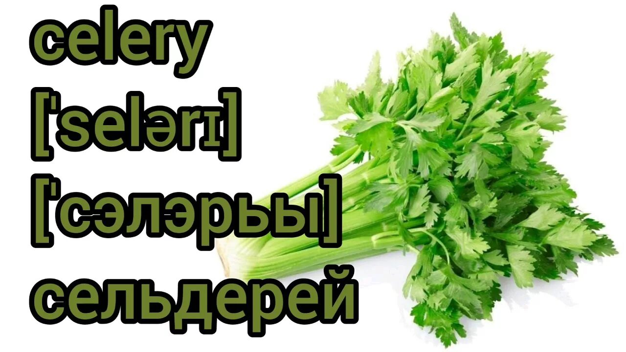 Celery scripts. Сельдерей по английски. сельдерей на английском языке. celery транскрипция. celery in english language.