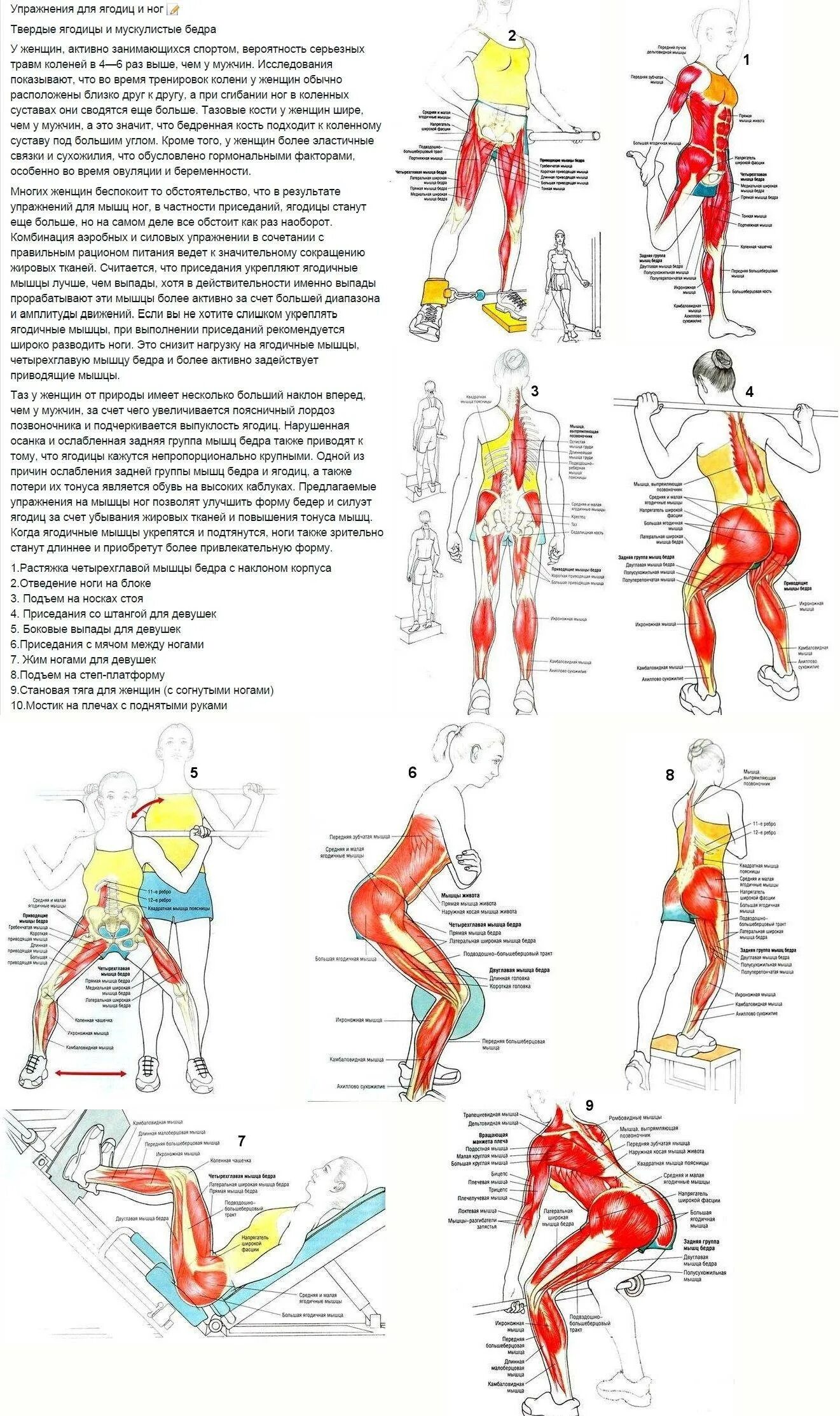 Упражнения для ягодиц по группам мышц. Как прокачать мышцы ног. Упражнения для прокачки ягодичных мышц. Комплекс упражнений для ног и ягодиц.
