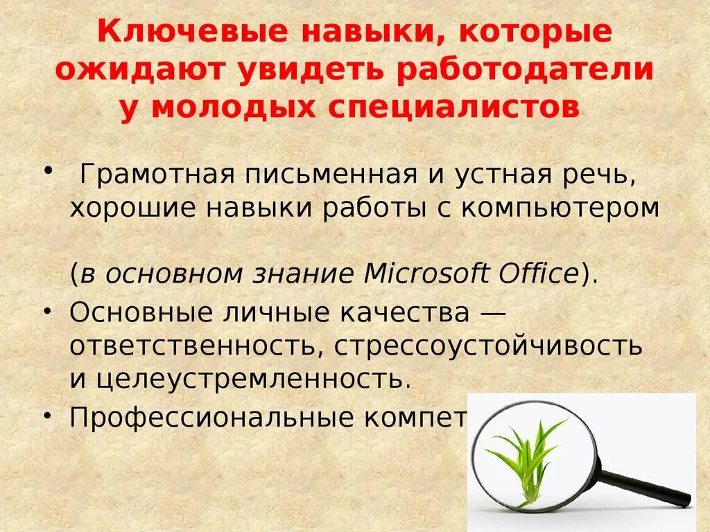 Ключевые навыки. Умения и навыки примеры. Навыки в работе примеры. Ключевые навыки в работе. Работа в ключевые люди