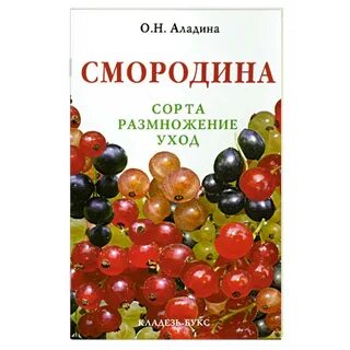 Смородин книги