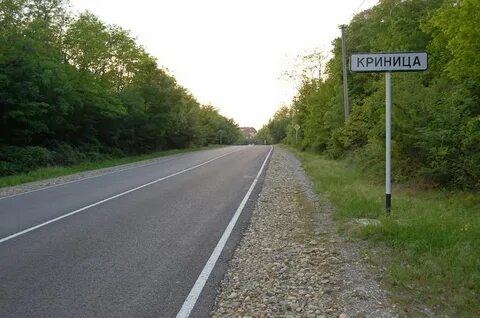 Село криница воронежская область