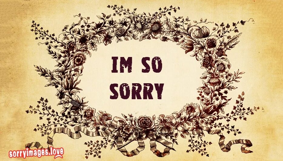 Thing sorry. Сорри. So sorry. Hehe sorry sorry. Тег sorry.