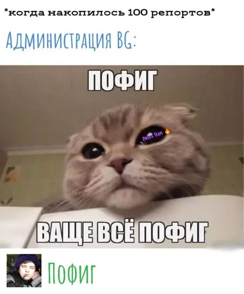 Пофиг сколько