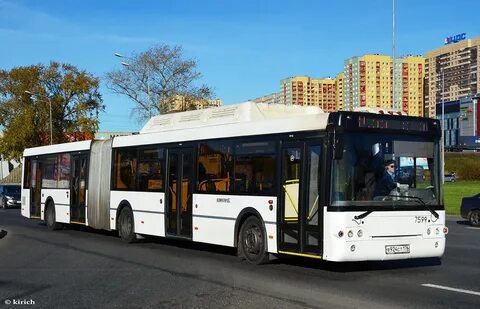 Автобус 71 спб