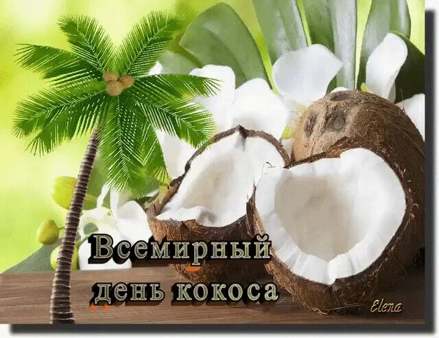 День кокоса. День кокоса 26 июня. Открытки с кокосом. 2 кокоса. Всемирный день кокоса открытки.