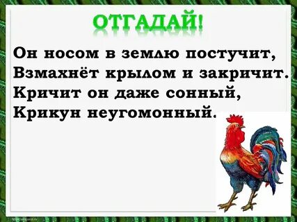 Главная мысль сказки петух и собака литературное