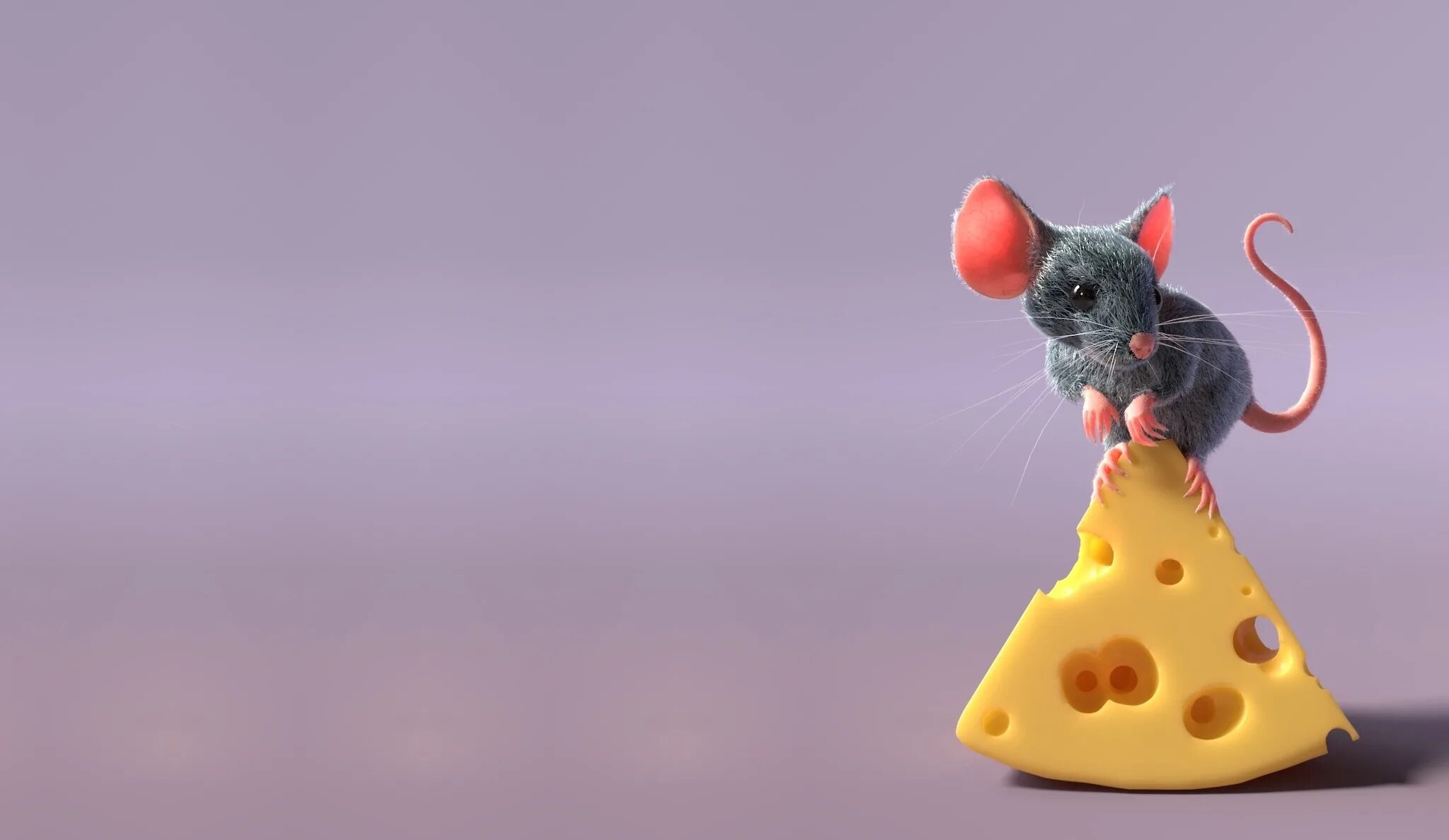 Включи видео с мышками. Мышь с сыром. Обои с мышками. Мышонок на сыре. Фон на рабочий стол прикольные.