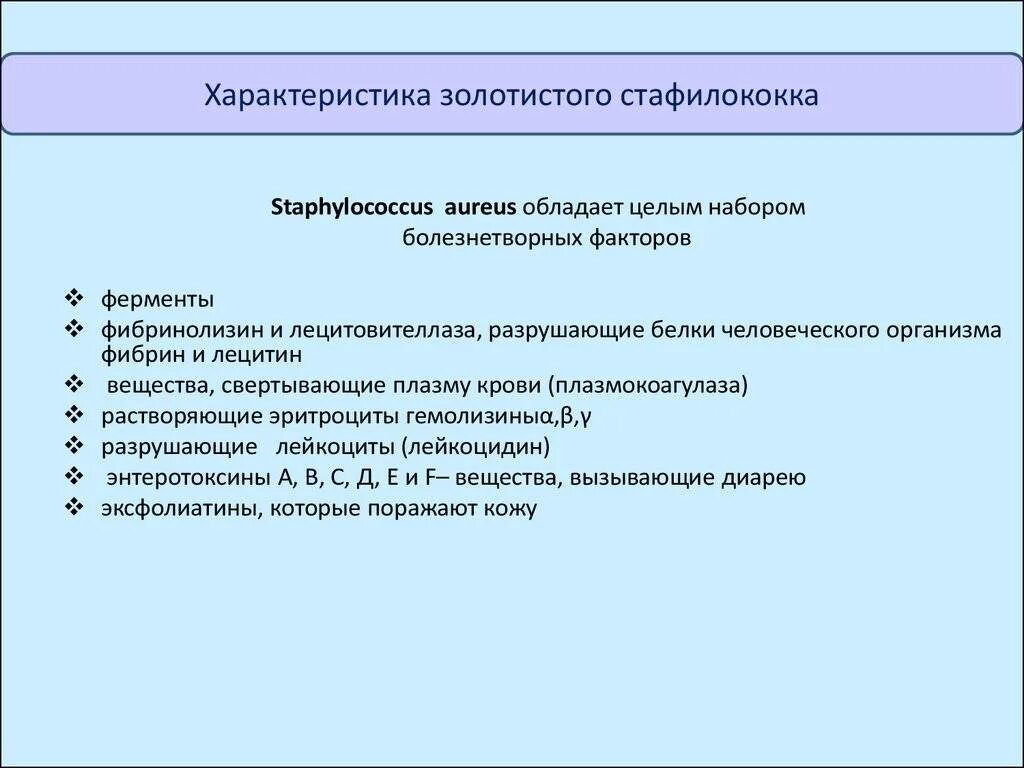 Лечение золотистого стафилококка в горле у взрослых. Профилактика золотистого стафилококка. Золотистый стафилококк в горле. Носительство золотистого стафилококка.