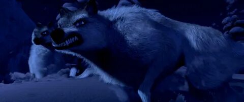 Wolf adventures