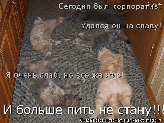 Мемы про корпоратив на новый год Улыбашки: Дневник пользователя sirena74