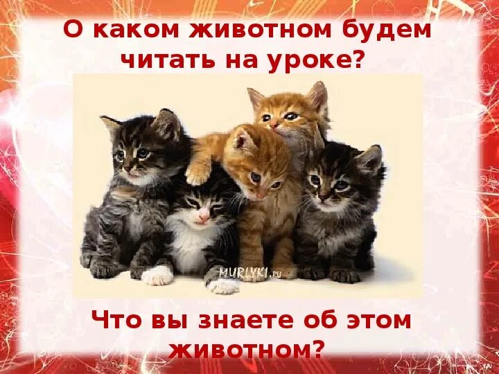 Рассказ скребицкого кот иваныч. Г а скребицкий кот иванович. рассказ кот иванович. кот иваныч. г скребицкий кот иваныч.