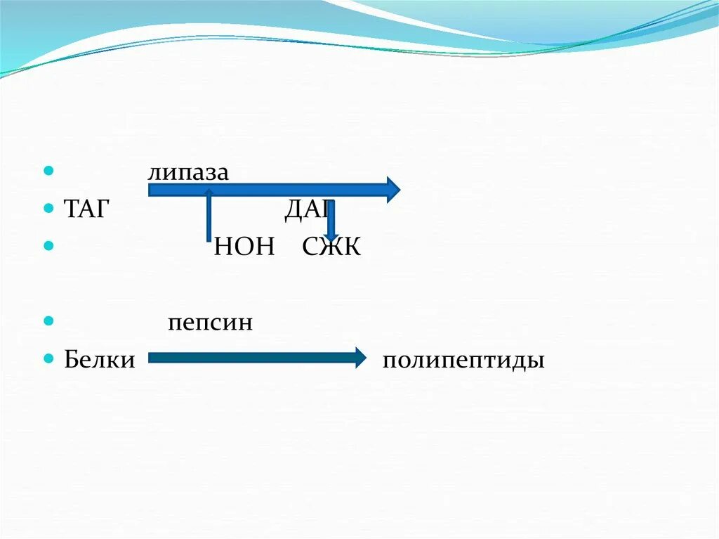 Пепсин формула. Пепсин формула