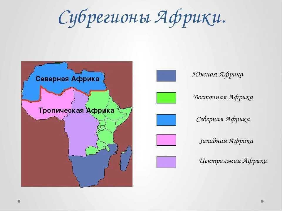 Субрегионы Африки карта по географии 11 класс. Субрегионы Африки Северная Западная Центральная Восточная. Субрегионы Африки 11 класс. География 11 класс субрегионы Африки.