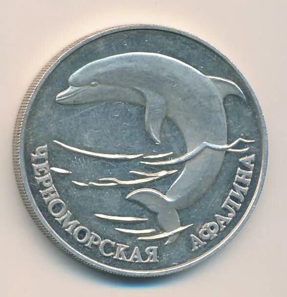 Сайт афалина челябинск. Монета Черноморская Афалина один рубль.