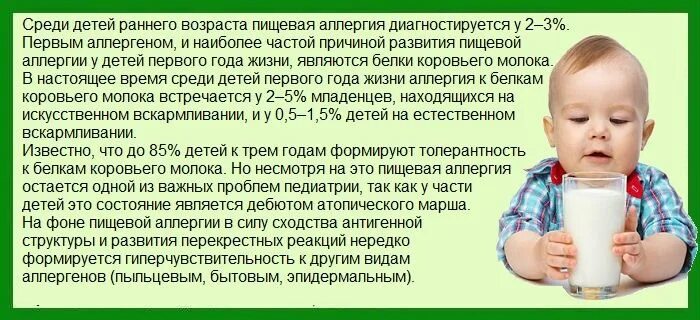 Аллергия на белок коровьего молока при искусственном вскармливании. Аллергия на молоко коровье молоко. Аллергия от молока у ребенка. С какого возраста можно давать ребёнку молоко коровье. Когда ребенку можно давать белок