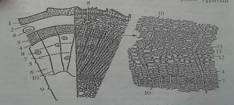 Семіз адамдардың сексін онлайн көру