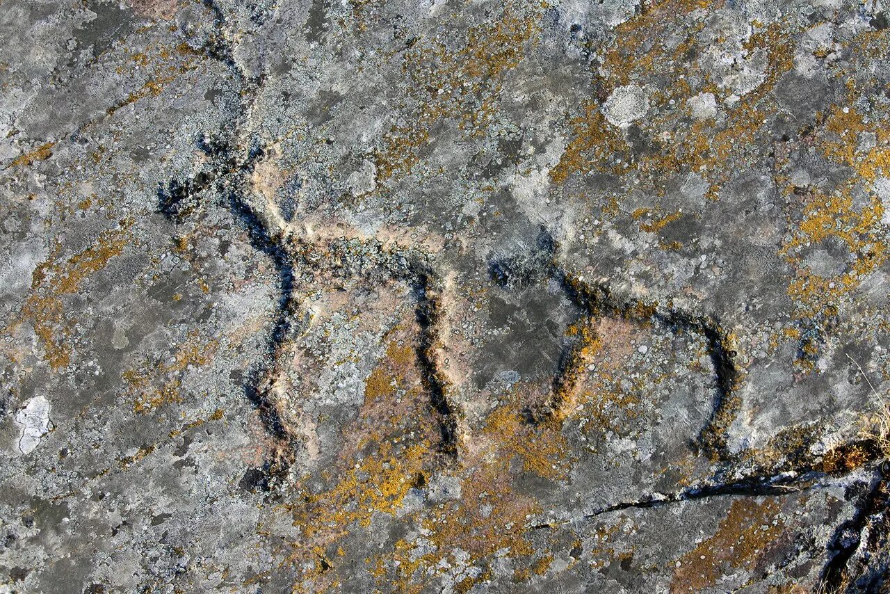 Петроглифы канозера. Канозерские петроглифы. Петроглифы канозера. Петроглифы канозера без. Петроглифы канозера.