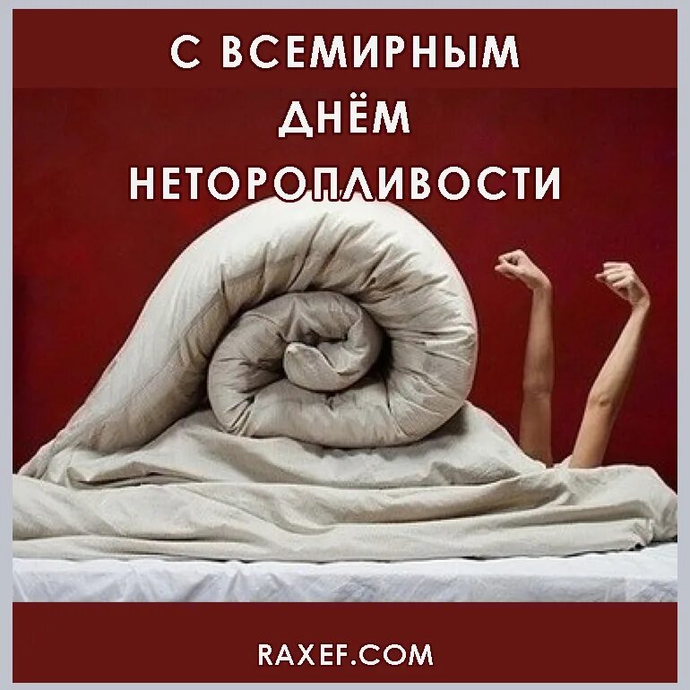 День неторопливости картинки прикольные. День неторопливости. День неторопливости поздравления. День неторопливости 26 февраля. День неторопливости открытки.