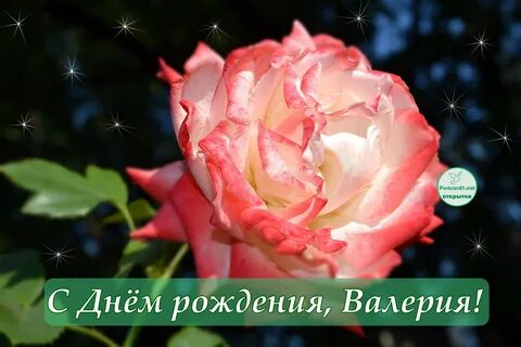 Красивая открытка с днем рождения валерии