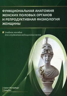 Анатомия наружных половых органов