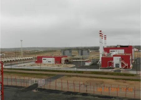 Месторождение гриба архангельская область