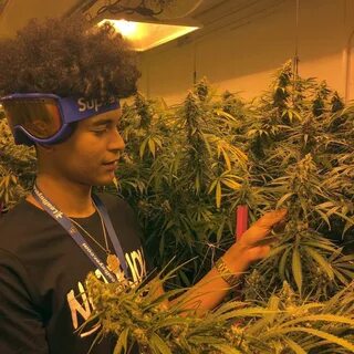Grow boys