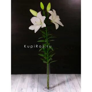 Лилия штука