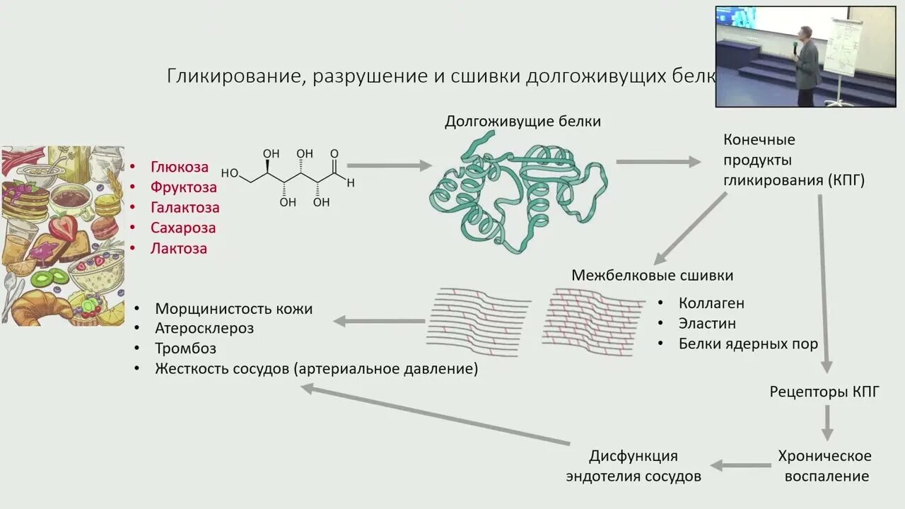 Гликация. Продукты гликации. Гликация кожи что это. Гликирование и старение кожи. Продукты гликации.