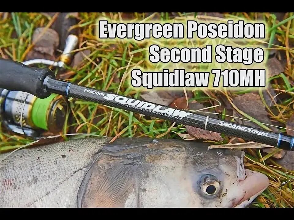 Evergreen poseidon squidlaw second stage. Evergreen poseidon squidlaw second stage