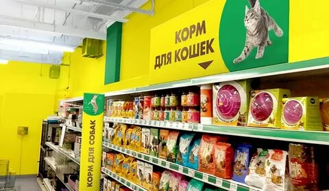 Сайт зооландия мурманск