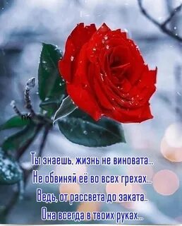 Дай бог вам вовремя и в меру