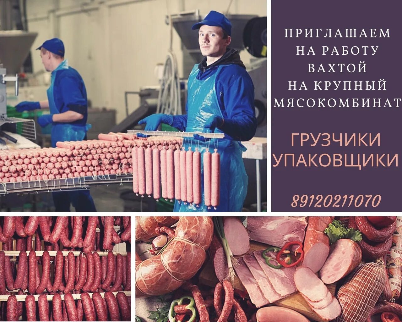 Чехов вакансии без опыта работы. Вахта мясокомбинат. Мелеузовский мясокомбинат. Грузчик на мясокомбинат.