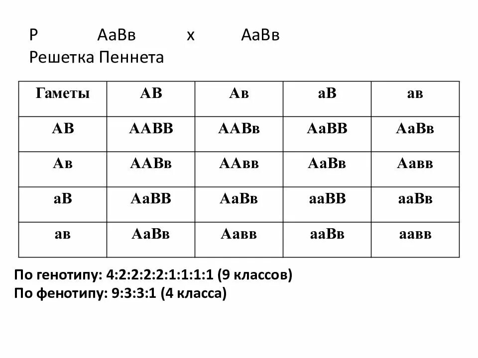 Гамет генотипа aabbcc. Решетка Пеннета ААВВ ААВВ. AABB * AABB решётка Пеннета. Решетка Пеннета соотношение генотипов. Решетка Пеннета на 16 гетерозиготы.