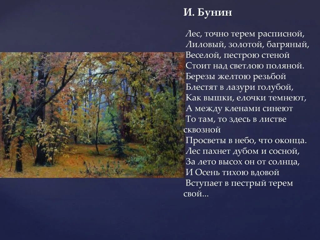 Стихотворение бунина осень. Бунин лес точно Терем расписной. Лес точно Терем Бунин Бунин. Русский лес в поэзии. Стихи о лесе.