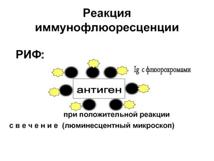 Практик реакция