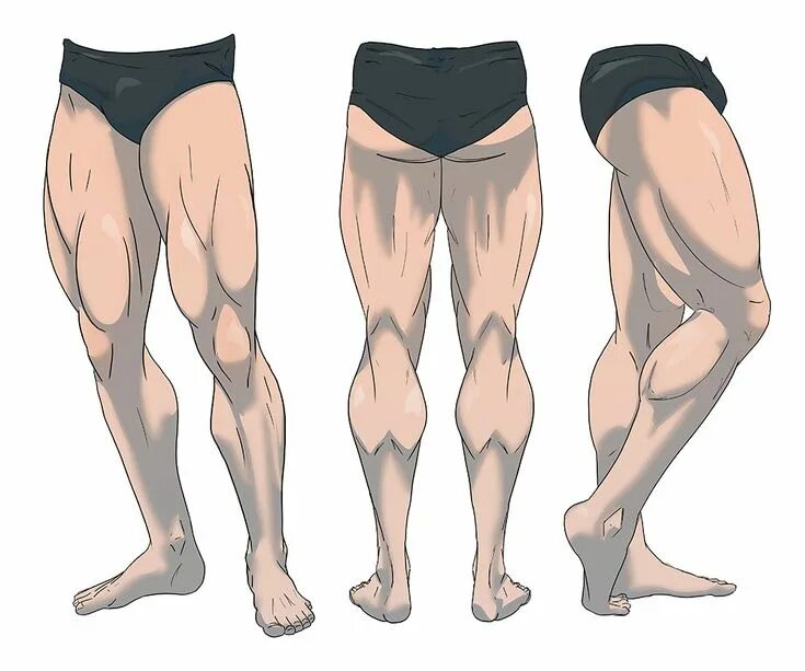 Leg reference
