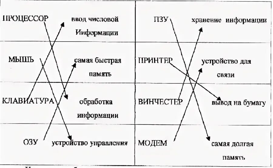 Информатика и ее структура