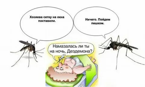 Какую группу любят комары