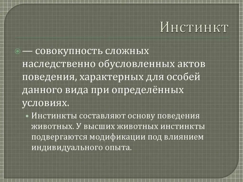 Общественный инстинкт. Инстинкт. Инстинкт определение биология. Определение понятия инстинкты. Инстинкт это в обществознании.