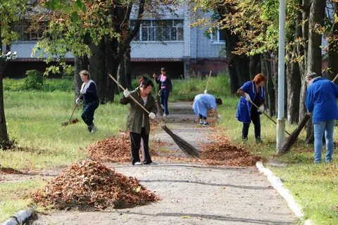 Проводятся в городах
