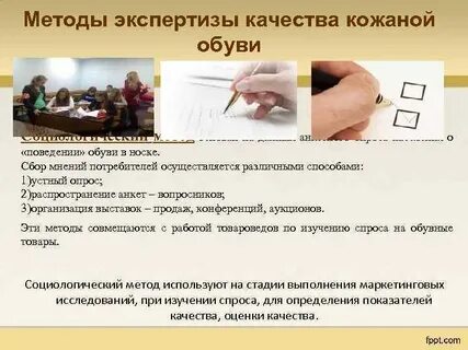 Экспертиза доклад