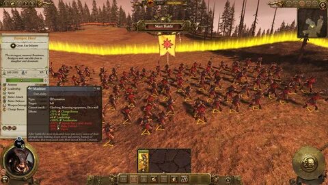 Warhammer 2 total юниты