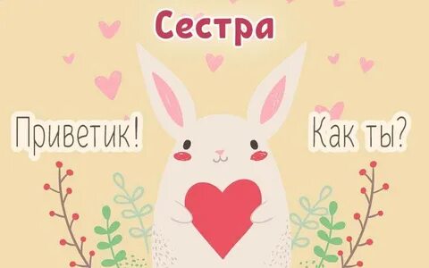 Привет сестра картинки
