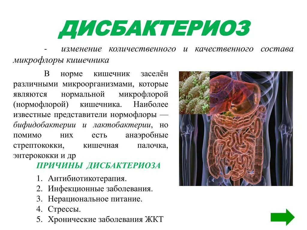 Симптомы нарушенной микрофлоры. Дисбактериоз. Дисбактериоз микрофлоры кишечника. Функции бактерий в кишечнике человека.