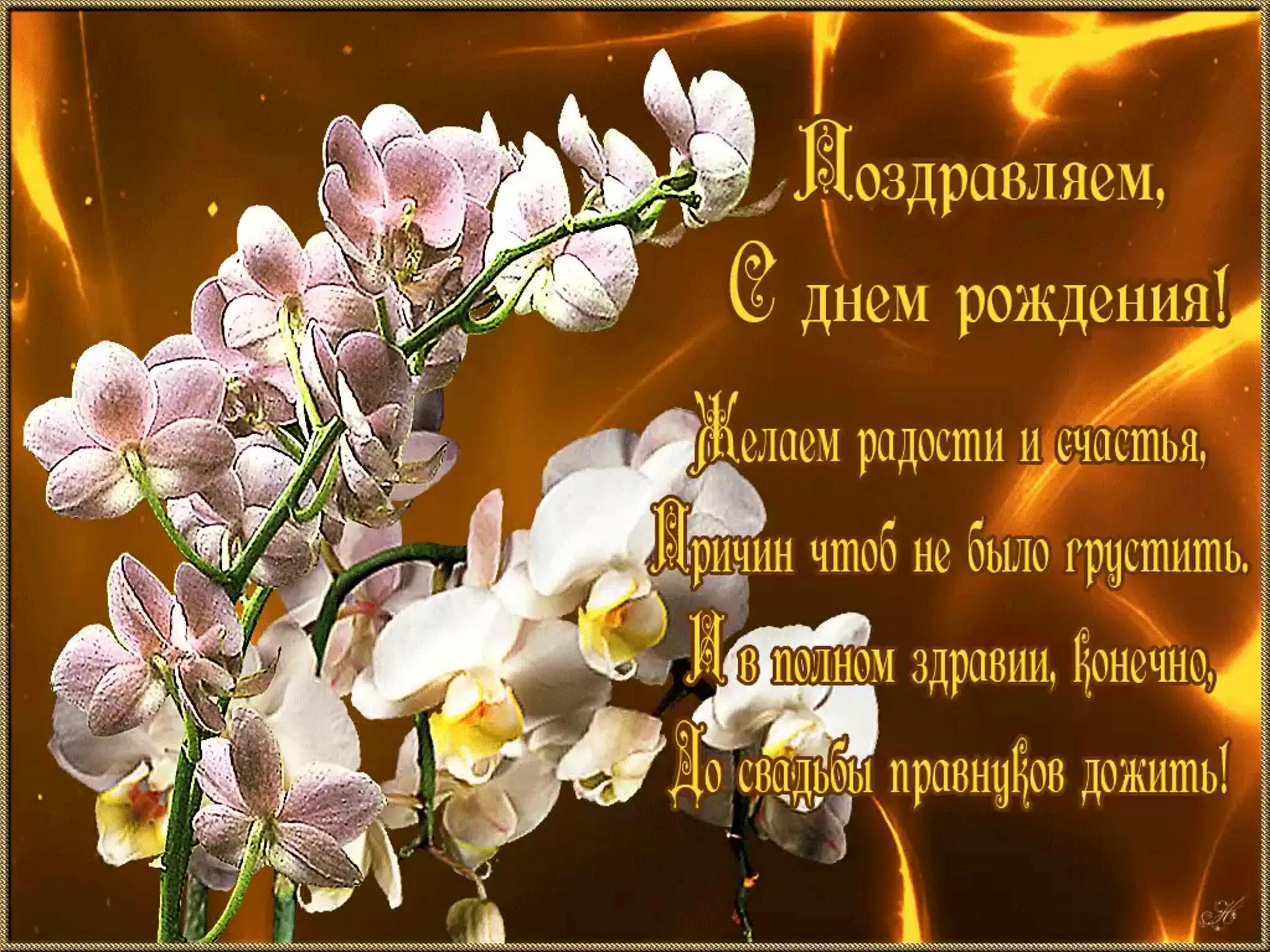 Теплые поздравления с днем рождения картинки. Красивые поздравления с днем рождения. с днём рождения женщине. пожелания с днём рождения женщине красивые. с днемирождения женщине.
